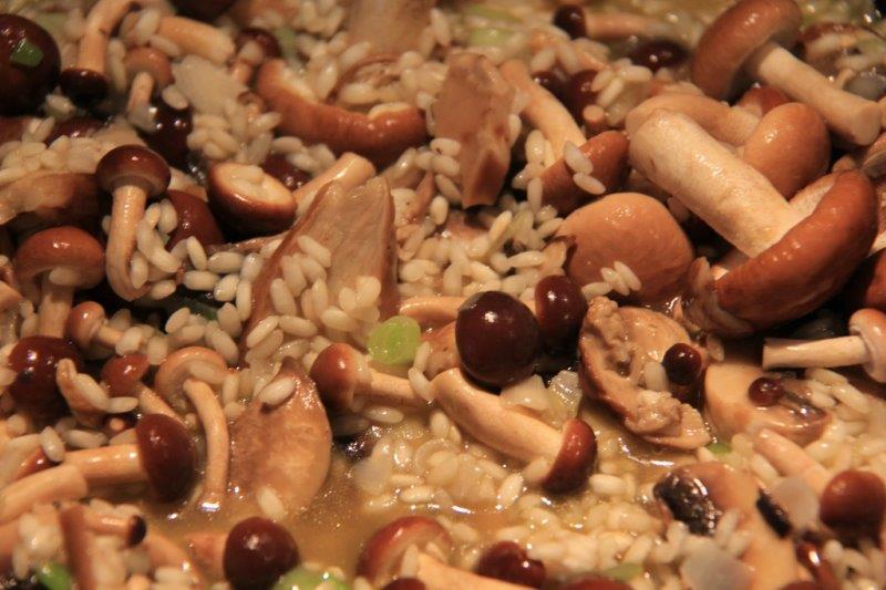 12 of the Most Popular Vegetarian Recipes from Around the World Mushroom Risotto | Italy www.compassandfork.com