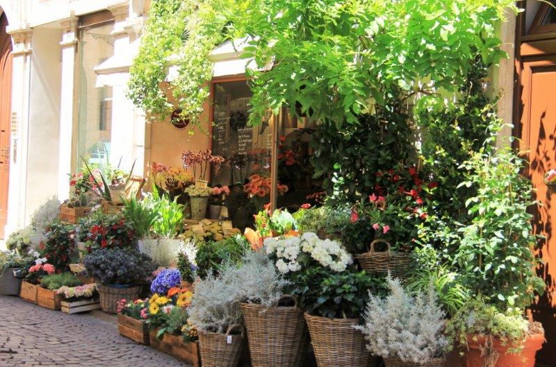 Traveling in Italy: What you Need to Know Vicenza Garden www.compassandfork.com