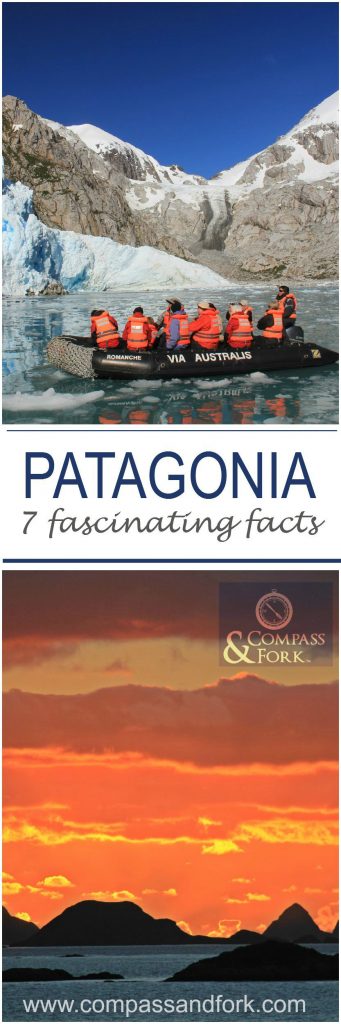 Patagonia 7 fascinating facts www.compassandfork.com