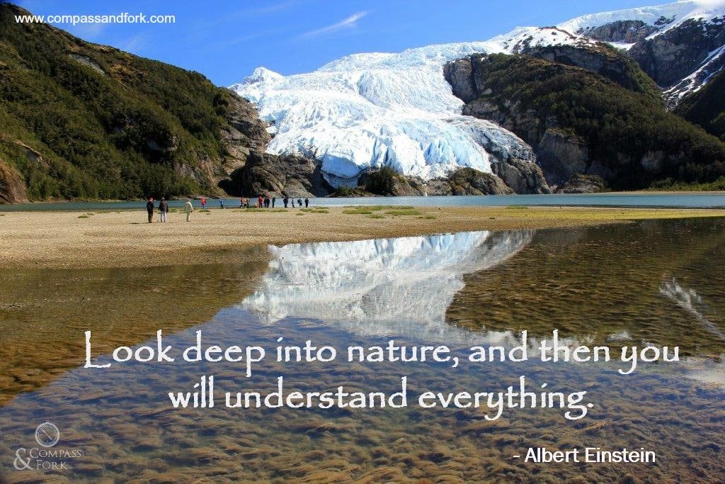 Compass & Fork Inspirational Quote Albert Einstein www.compassandfork.com
