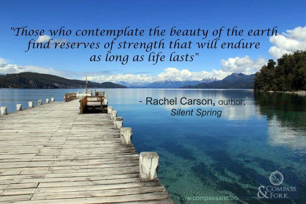 Compass & Fork Inspirational Quote Rachel Carson www.compassandfork.com