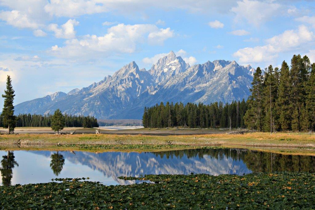 Healthy Travels What you Need to Know Tetons www.compassandfork.com