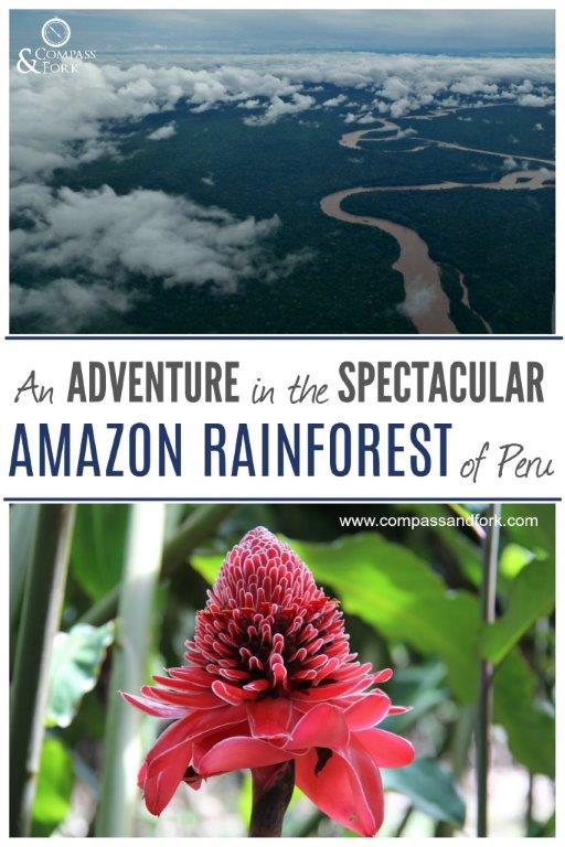An Adventure in the Spectacular Amazon Rainforest of Peru www.compassandfork.com