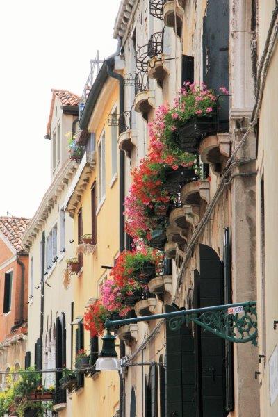 What you need to know about using AirBnB when you travel Venice Flower Boxes