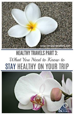What You Need to Know to Stay Healthy on Your Trip www.compassandfork.com