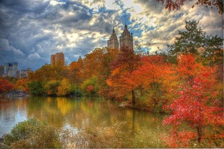 the-perfect-new-york-city-stopover-fall-foilage-in-central-park-new-york