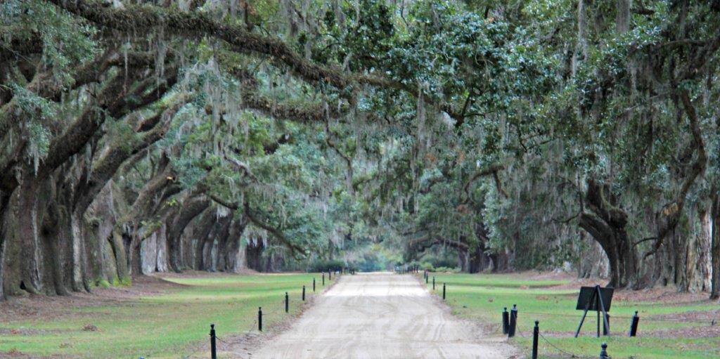 What are the Best Plantations to Visit Near Charleston? www.compassandfork.com