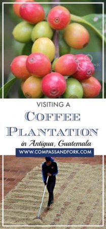 From the Plantation to the Perfect Cup of Coffee in Anigua Guatemala www.www.compassandfork.com