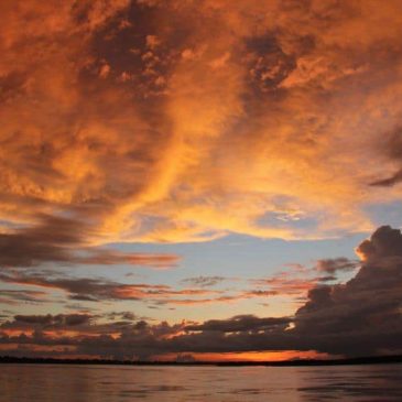 Why a Cruise is the Best Way to Explore the Amazing Amazon Rainforest www.compassandfork.com