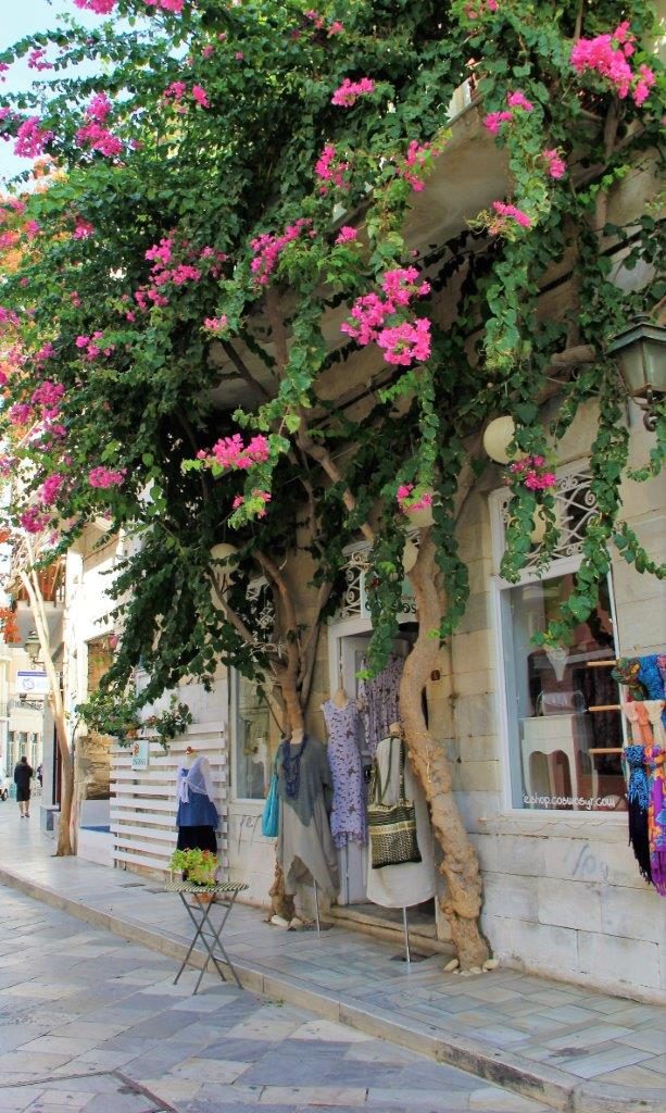 Syros the Best Destination in the Greek Islands www.compassandfork.com